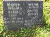 image of grave number 302888